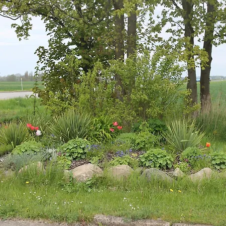 In Wiek Nahe Juliusruh Wiek auf Rügen