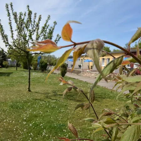 In Wiek Nahe Juliusruh Apartmán *
